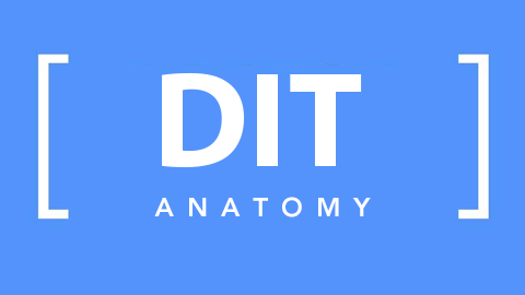 Doctor In Training Anatomy