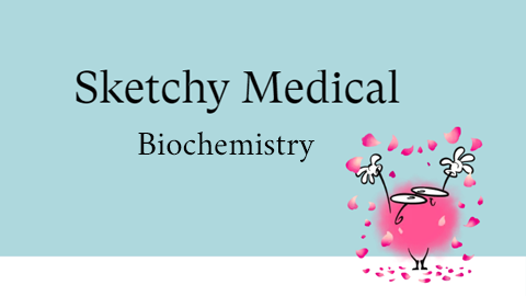 Sketchy Biochemistry